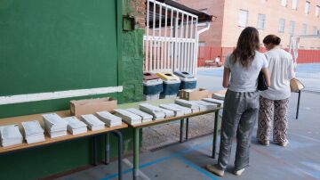 Chatbots en la urna: votando con IA Chatbots en la urna: votando con IA