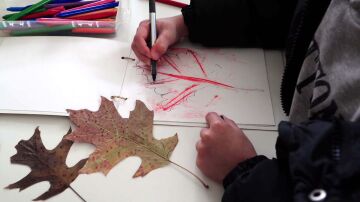 'PequeZine', el proyecto para concienciar a los niños sobre la biodiversidad