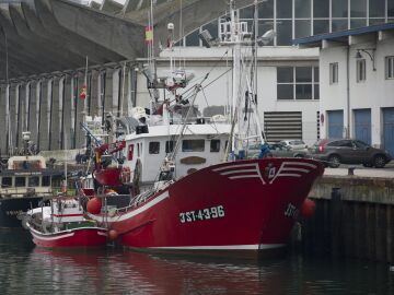 Los barcos de pesca, nuevos aliados para entender la salud de los oc&eacute;anos