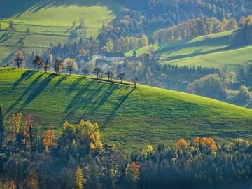 El a&ntilde;o que pone en el centro a los pastizales y a quienes los protegen