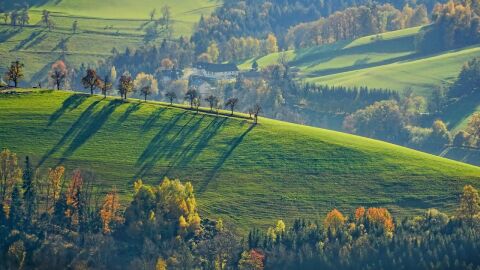 El a&ntilde;o que pone en el centro a los pastizales y a quienes los protegen