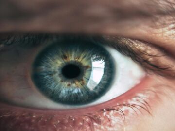 La relaci&oacute;n directa entre lo que comes y la salud de tus ojos