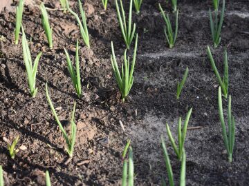 Un proyecto europeo propulsa la econom&iacute;a circular para revitalizar las zonas rurales