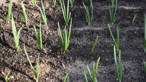 Un proyecto europeo propulsa la econom&iacute;a circular para revitalizar las zonas rurales