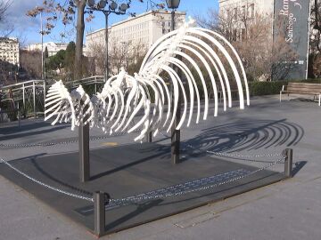 'El esqueleto del cambio climático'