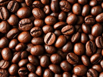 El café que bebes cada mañana está en peligro; el cambio climático amenaza con reducir a la mitad las tierras de cultivo para 2050 El café que bebes cada mañana está en peligro; el cambio climático amenaza con reducir a la mitad las tierras de cultivo para 2050