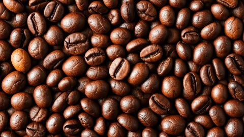 El café que bebes cada mañana está en peligro; el cambio climático amenaza con reducir a la mitad las tierras de cultivo para 2050 El café que bebes cada mañana está en peligro; el cambio climático amenaza con reducir a la mitad las tierras de cultivo para 2050