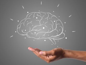 Un nuevo estudio redefine c&oacute;mo imaginamos: el cerebro no trabaja como cre&iacute;amos