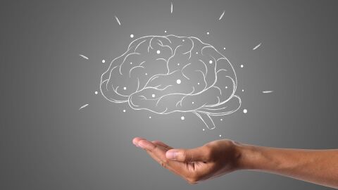 Un nuevo estudio redefine cómo imaginamos: el cerebro no trabaja como creíamos Un nuevo estudio redefine cómo imaginamos: el cerebro no trabaja como creíamos