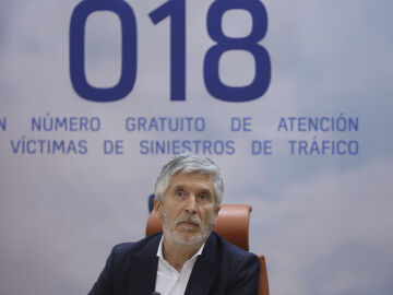 Fernando Grande-Marlaska