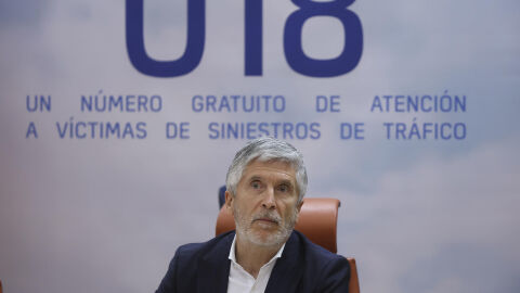 Fernando Grande-Marlaska