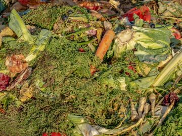 La biodiversidad del suelo; un sistema inmunitario natural que protege cultivos y humanos La biodiversidad del suelo; un sistema inmunitario natural que protege cultivos y humanos