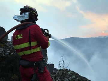 Prevenir incendios forestales