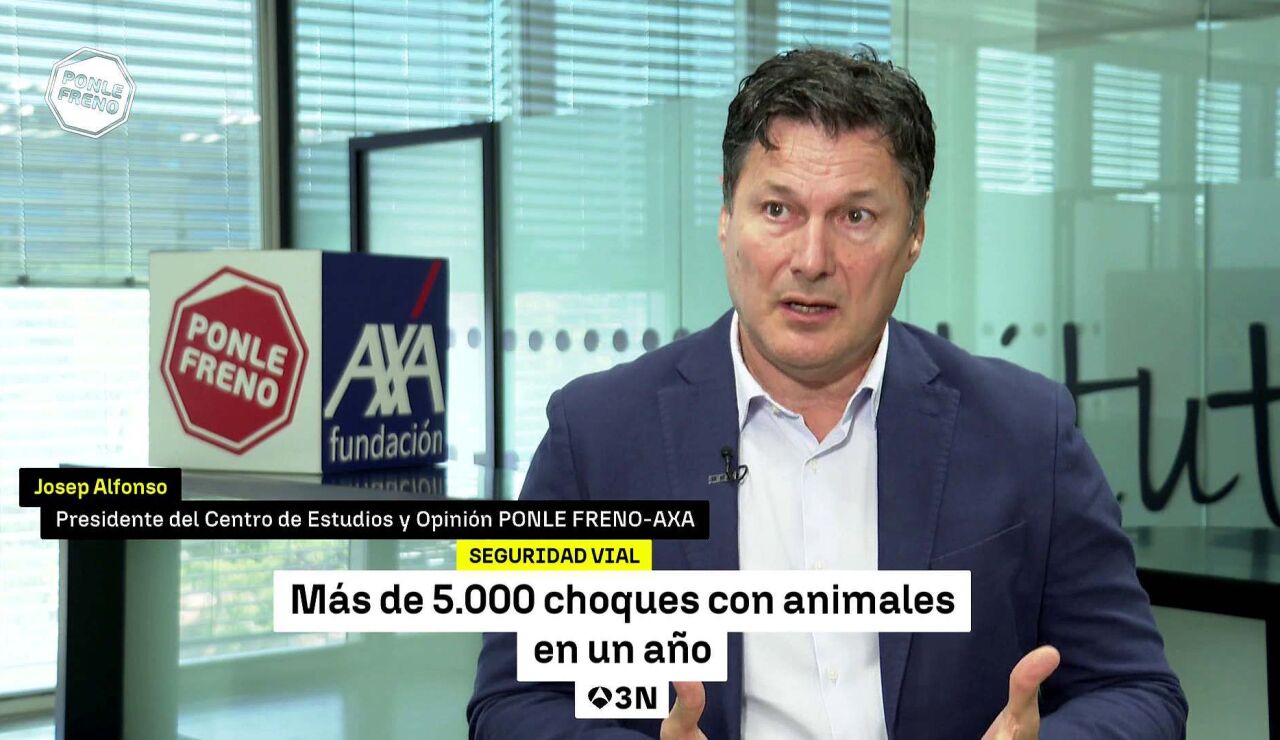 Castilla y León, Cataluña y Galicia concentran casi el 60% de los accidentes de tráfico contra animales texto-alternativo