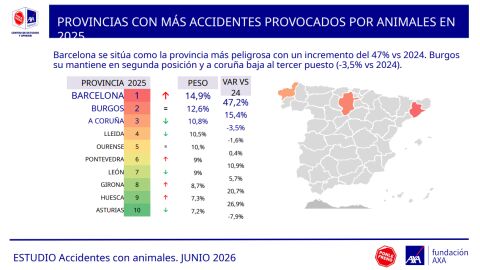 Provincias con más accidentes provocados por animales Provincias con más accidentes provocados por animales