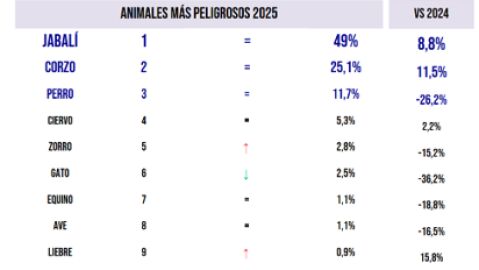 Ranking animales con mayor incidencia en accidentes Ranking animales con mayor incidencia en accidentes