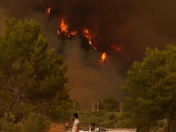 Qué hacer si un incendio te sorprende en la carretera Qué hacer si un incendio te sorprende en la carretera