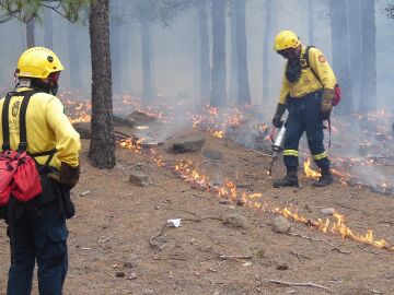 El incendio de Guadalajara ha arrasado más de 26.000 hectáreas y el de Zaragoza evoluciona favorablemente El incendio de Guadalajara ha arrasado más de 26.000 hectáreas y el de Zaragoza evoluciona favorablemente