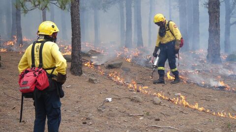 El incendio de Guadalajara ha arrasado más de 26.000 hectáreas y el de Zaragoza evoluciona favorablemente El incendio de Guadalajara ha arrasado más de 26.000 hectáreas y el de Zaragoza evoluciona favorablemente