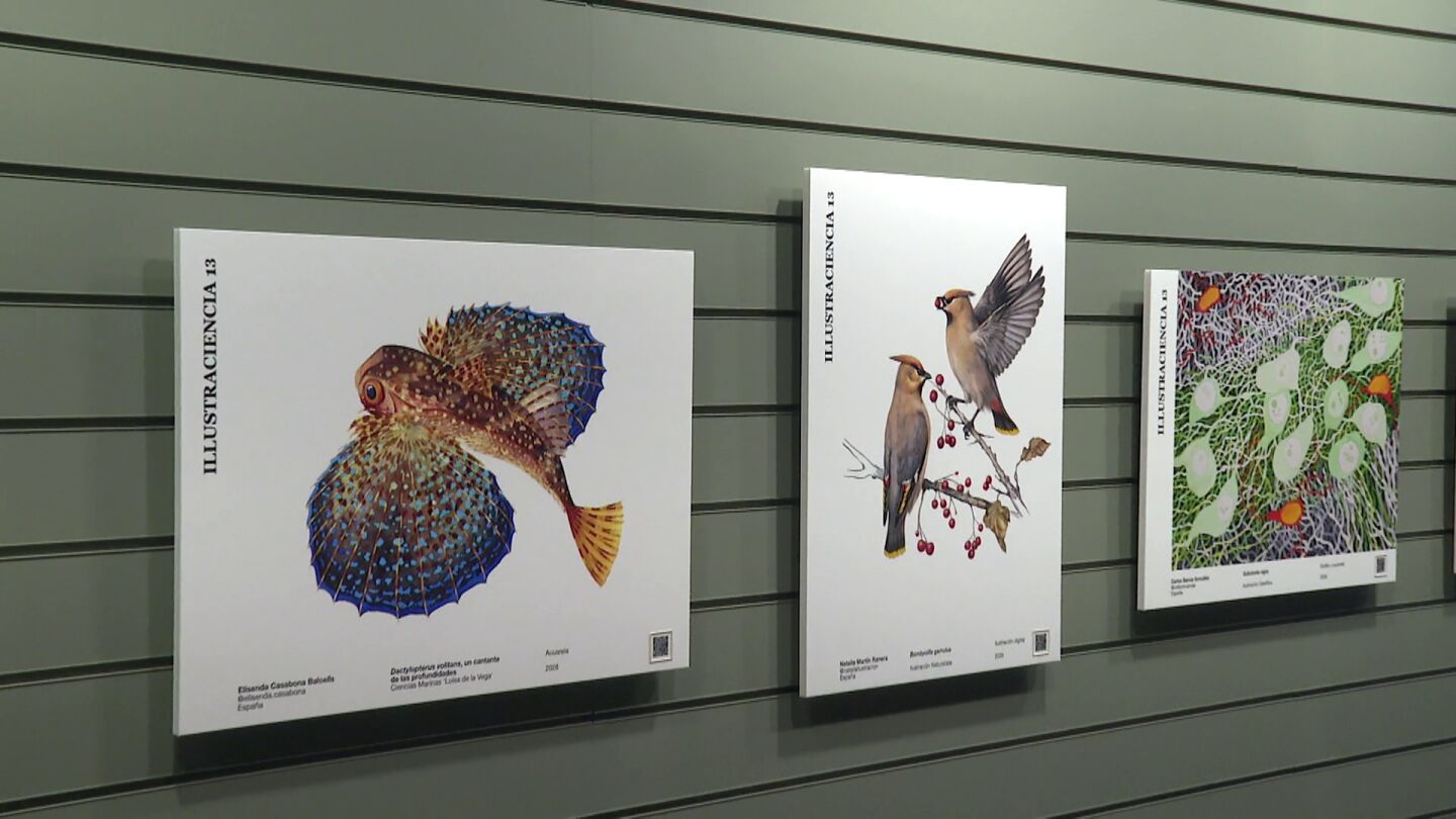Illustraciencia Illustraciencia