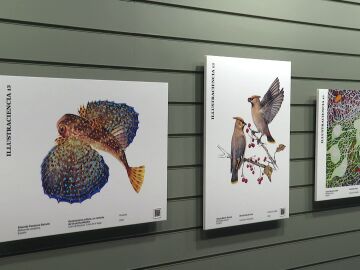 Illustraciencia