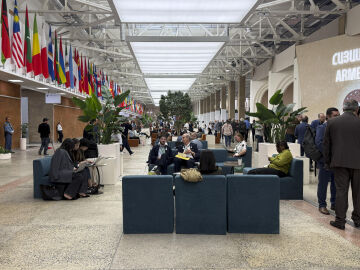 La XVII Conferencia de las Partes del Convenio de Naciones Unidas sobre la Diversidad Biológica (COP17) comenzó este lunes en la capital armenia La XVII Conferencia de las Partes del Convenio de Naciones Unidas sobre la Diversidad Biológica (COP17) comenzó este lunes en la capital armenia