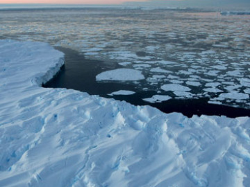 Placa de hielo de la Antártida Occidental 