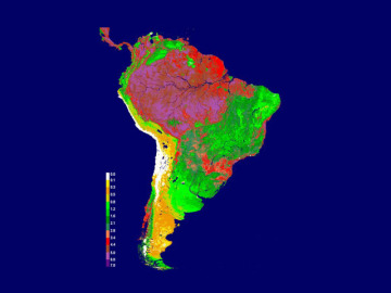 Gráfico sobre la sequía en el Amazonas 