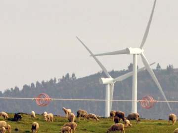 Molinos de viento