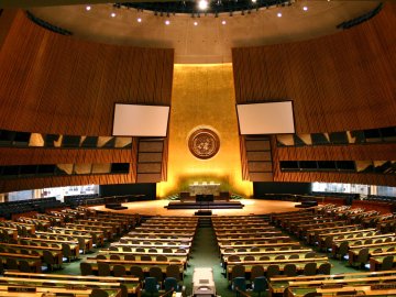 Asamblea General de la ONU