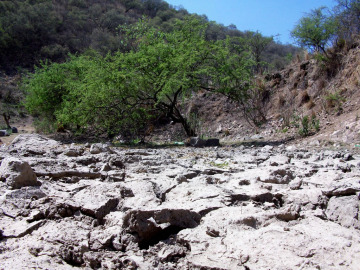 Los efectos de la desertificación