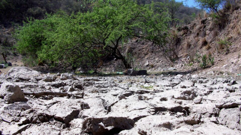 Los efectos de la desertificación Los efectos de la desertificación