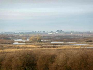 Tablas de Daimiel