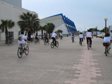 Bicicletas por la calle