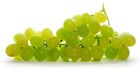 Uvas