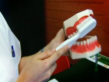 Educa a tus hijos a cepillarse los dientes
