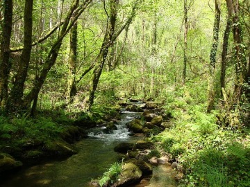 Imagen del parque natural las Fraguas del Eume