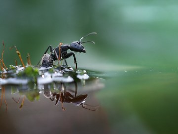 Un momento para refrescarse
