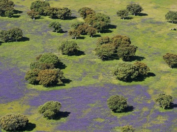 Reserva natural de Doñana