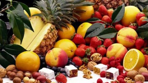 alimentos alimentos