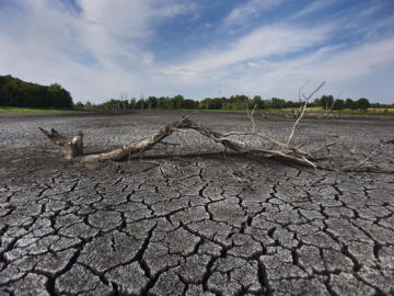 La imagen muestra el fondo de un pantano en West Lafayette, Indiana, EE.UU.