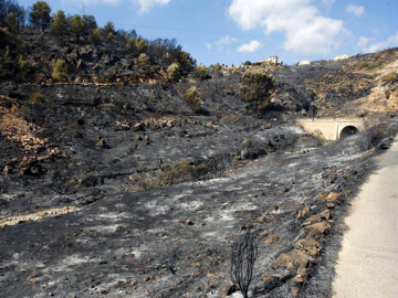 Bédar, tras el paso del fuego