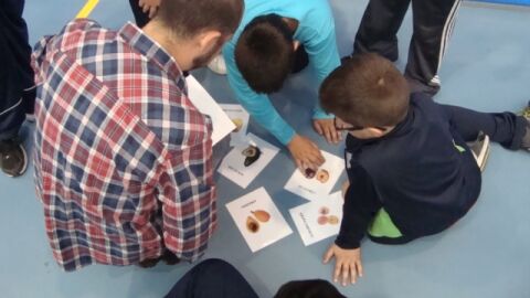 Programa de actividad f&iacute;sica en Almorad&iacute;