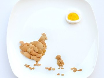 El huevo y la gallina