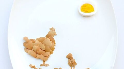 El huevo y la gallina El huevo y la gallina