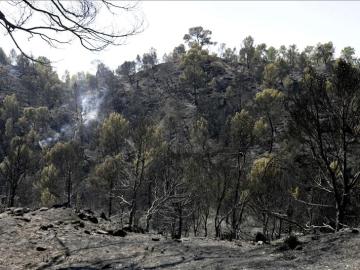 Incendio forestal en Valdemorillo