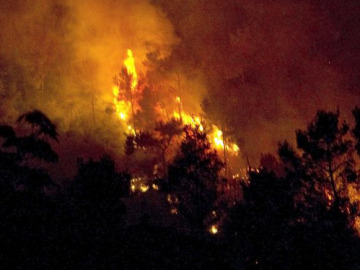 Incendio forestal en Vallirana (Barcelona)