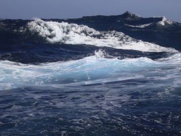 El descenso del pH marino acelera el calentamiento