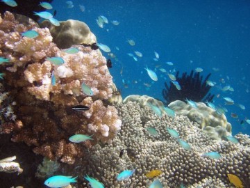 Islas de Raja Ampat, en Indonesia