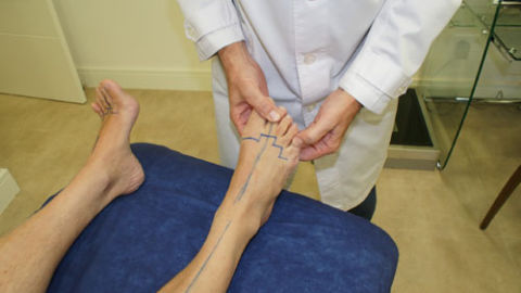 Consejos pod&oacute;logicos